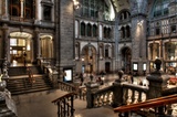 Antwerpen